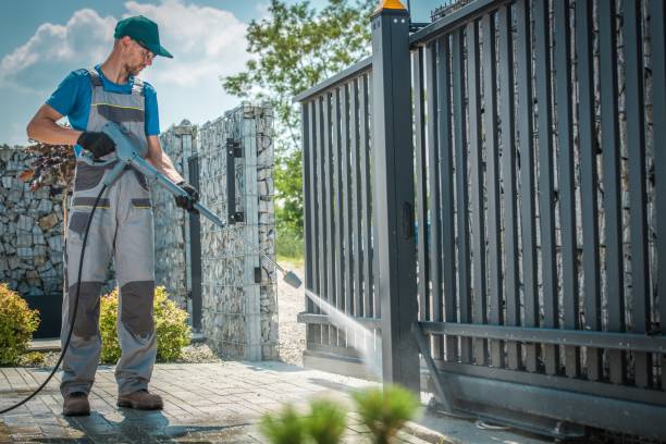 Best Graffiti Removal Services in Doolittle, TX