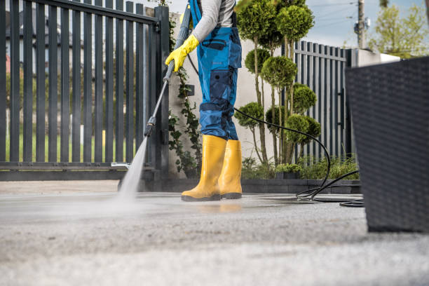 Best Pool Deck Cleaning in Doolittle, TX
