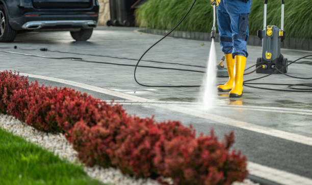 Best Vinyl Siding Pressure Washing in Doolittle, TX